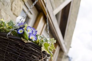 Photo 14- click for photo gallery